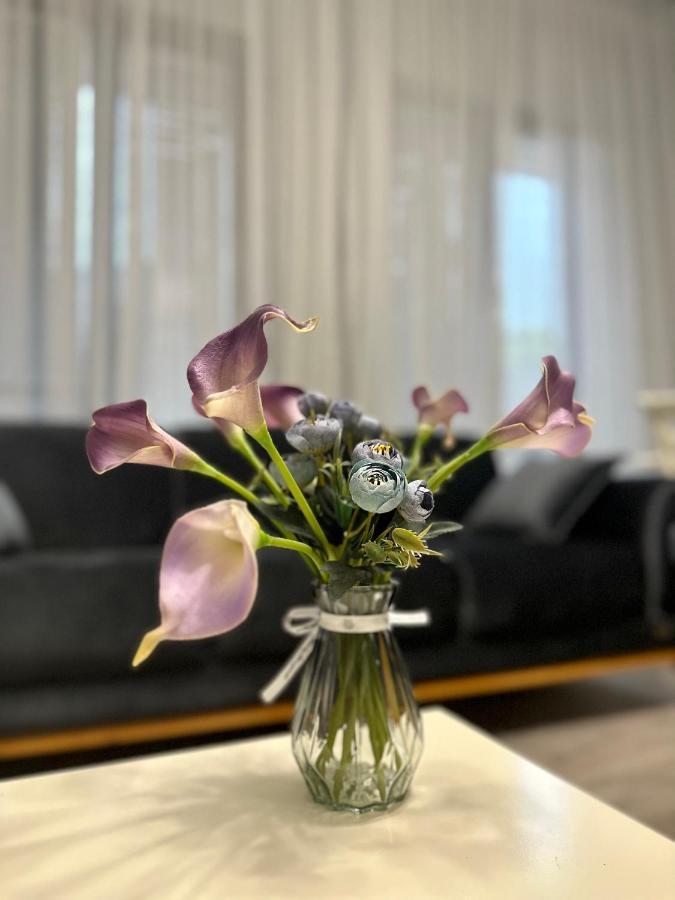 Aparthotel Koetaisi Buitenkant foto
